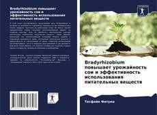 Bookcover of Bradyrhizobium повышает урожайность сои и эффективность использования питательных веществ