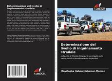 Capa do livro de Determinazione del livello di inquinamento stradale 