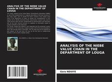 Buchcover von ANALYSIS OF THE NIEBE VALUE CHAIN IN THE DEPARTMENT OF LOUGA