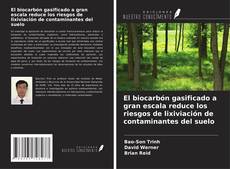 Bookcover of El biocarbón gasificado a gran escala reduce los riesgos de lixiviación de contaminantes del suelo