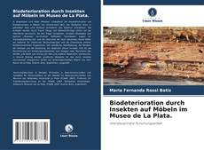 Buchcover von Biodeterioration durch Insekten auf Möbeln im Museo de La Plata.