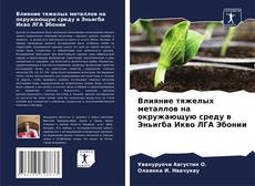 Buchcover von Влияние тяжелых металлов на окружающую среду в Эньигба Икво ЛГА Эбонии