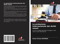 Buchcover von La protezione internazionale dei diritti umani