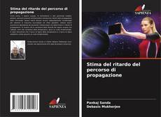 Capa do livro de Stima del ritardo del percorso di propagazione 