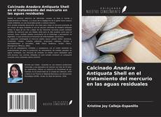 Copertina di Calcinado Anadara Antiquata Shell en el tratamiento del mercurio en las aguas residuales