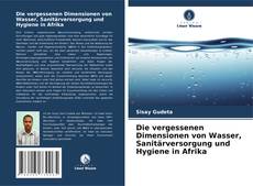 Bookcover of Die vergessenen Dimensionen von Wasser, Sanitärversorgung und Hygiene in Afrika
