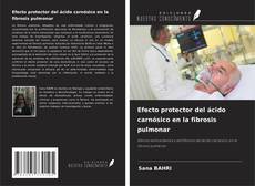 Bookcover of Efecto protector del ácido carnósico en la fibrosis pulmonar