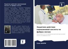 Bookcover of Защитное действие карнозиновой кислоты на фиброз легких