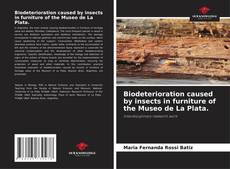 Capa do livro de Biodeterioration caused by insects in furniture of the Museo de La Plata. 