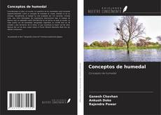 Buchcover von Conceptos de humedal