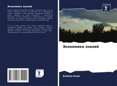 Capa do livro de Экономика знаний 