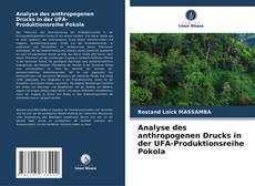 Buchcover von Analyse des anthropogenen Drucks in der UFA-Produktionsreihe Pokola