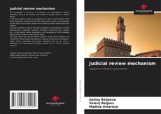Capa do livro de Judicial review mechanism 