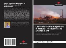 Обложка Labor Insertion: Engineers in Natural Resources and Environment