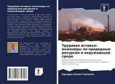 Capa do livro de Трудовая вставка: инженеры по природным ресурсам и окружающей среде 