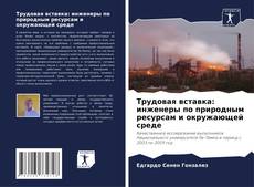 Portada del libro de Трудовая вставка: инженеры по природным ресурсам и окружающей среде