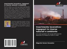 Bookcover of Inserimento lavorativo: ingegneri in risorse naturali e ambiente