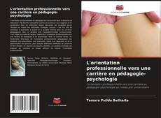Bookcover of L'orientation professionnelle vers une carrière en pédagogie-psychologie