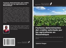 Buchcover von Factores determinantes del crédito solicitado por los agricultores en Mozambique