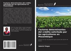 Factores determinantes del crédito solicitado por los agricultores en Mozambique的封面