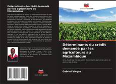 Buchcover von Déterminants du crédit demandé par les agriculteurs au Mozambique