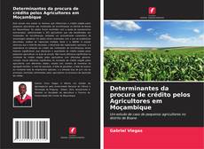 Determinantes da procura de crédito pelos Agricultores em Moçambique kitap kapağı