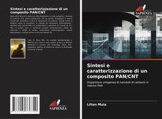 Capa do livro de Sintesi e caratterizzazione di un composito PAN/CNT 