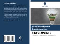 ENERGIEDIAGNOSE kitap kapağı