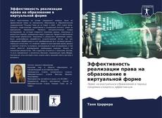 Bookcover of Эффективность реализации права на образование в виртуальной форме