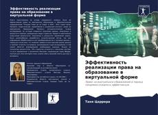 Capa do livro de Эффективность реализации права на образование в виртуальной форме 