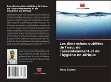 Bookcover of Les dimensions oubliées de l'eau, de l'assainissement et de l'hygiène en Afrique