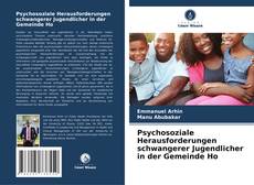 Psychosoziale Herausforderungen schwangerer Jugendlicher in der Gemeinde Ho kitap kapağı