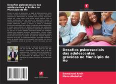 Bookcover of Desafios psicossociais das adolescentes grávidas no Município de Ho