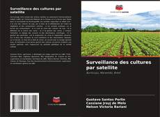 Buchcover von Surveillance des cultures par satellite