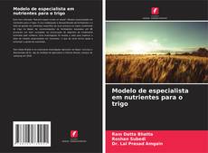 Couverture de Modelo de especialista em nutrientes para o trigo