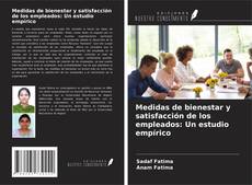 Copertina di Medidas de bienestar y satisfacción de los empleados: Un estudio empírico