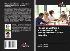 Bookcover of Misure di welfare e soddisfazione dei dipendenti: Uno studio empirico