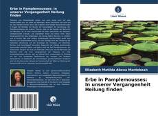 Bookcover of Erbe in Pamplemousses: In unserer Vergangenheit Heilung finden