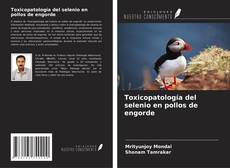 Bookcover of Toxicopatología del selenio en pollos de engorde