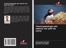 Buchcover von Tossicopatologia del selenio nei polli da carne