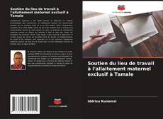 Capa do livro de Soutien du lieu de travail à l'allaitement maternel exclusif à Tamale 