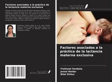 Bookcover of Factores asociados a la práctica de la lactancia materna exclusiva