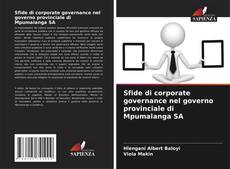Buchcover von Sfide di corporate governance nel governo provinciale di Mpumalanga SA