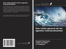 Couverture de Una visión general de los agentes remineralizantes