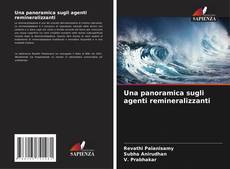Bookcover of Una panoramica sugli agenti remineralizzanti