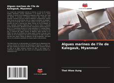 Bookcover of Algues marines de l'île de Kalegauk, Myanmar