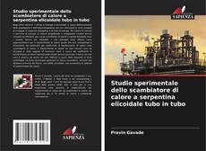 Buchcover von Studio sperimentale dello scambiatore di calore a serpentina elicoidale tubo in tubo