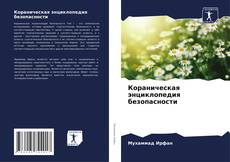 Bookcover of Кораническая энциклопедия безопасности