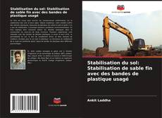 Capa do livro de Stabilisation du sol: Stabilisation de sable fin avec des bandes de plastique usagé 