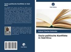Portada del libro de Sozio-politische Konflikte in Süd-Kivu